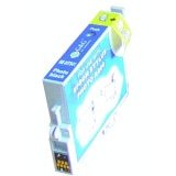 Photo Black Inkjet Cartridge compatible with the Epson T054120